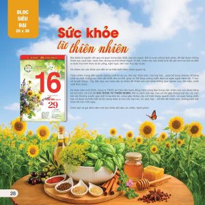 Alternative view of Bloc Siêu Đại 20x30cm – Sức Khỏe Từ Thiên Nhiên - Mã: AH 10